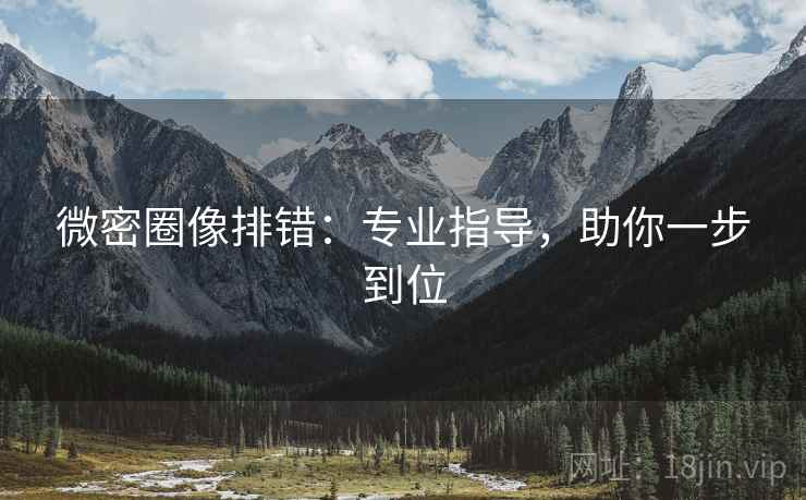 微密圈像排错：专业指导，助你一步到位