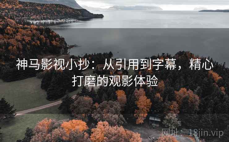 神马影视小抄：从引用到字幕，精心打磨的观影体验